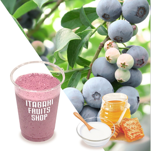 blueberry-yogurt-shake.jpg