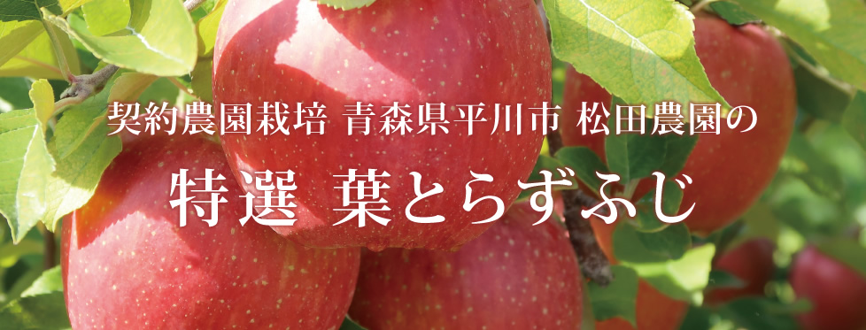 青森県平川市 松田農園 特選葉とらずふじ