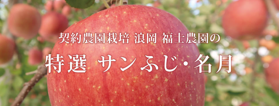 青森県浪岡 福士農園 特選葉とらずサンふじ