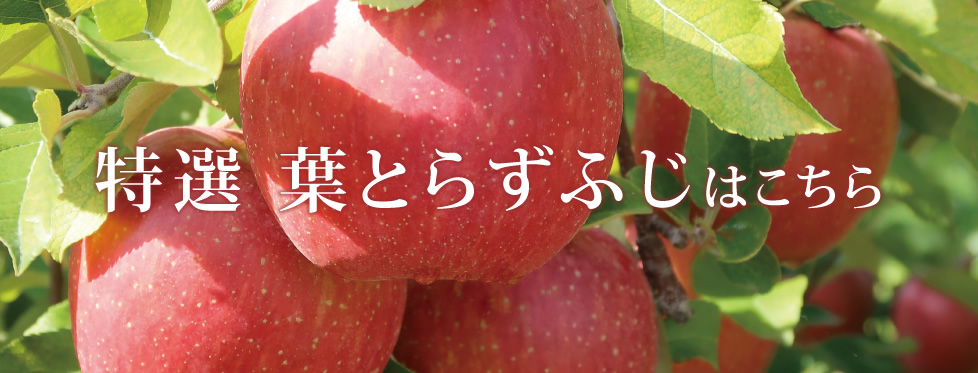 特選葉とらずふじはこちら