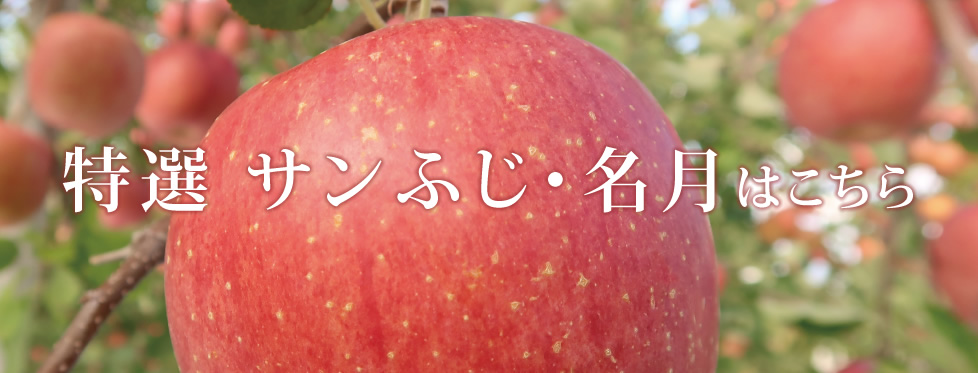 特選 サンふじ・名月はこちら