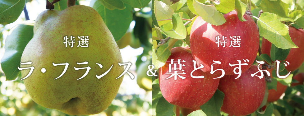 契約農園栽培 山形県上山産 特選ラ・フランス ＆ 特選葉とらずふじ 詰め合わせ