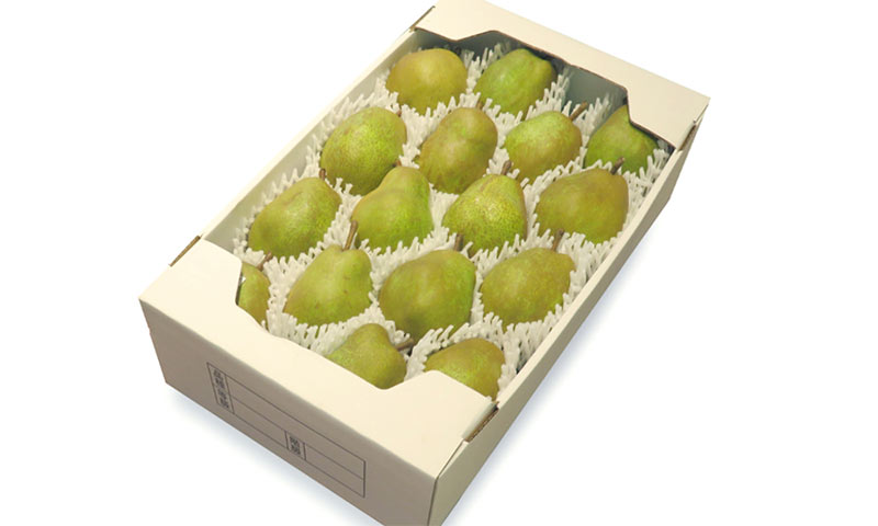特選大玉4L 6kg