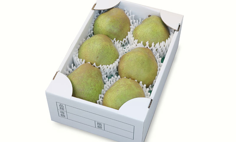 特選 大玉 5L 2.5kg