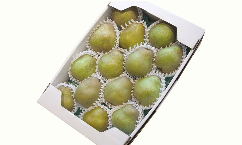 特選 大玉 5L 6kg